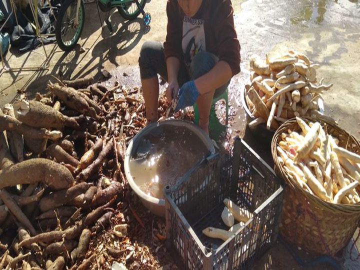 épluchage de manioc